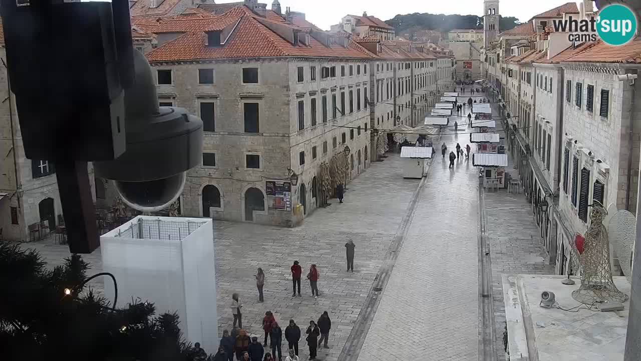 Live Webcam Dubrovnik Stradun