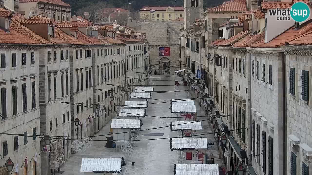 Livecam Dubrovnik Stradun