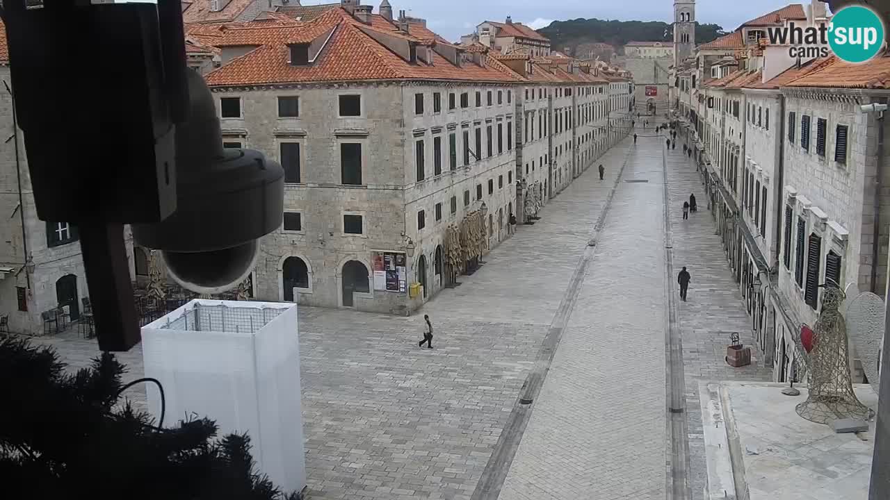 Livecam Dubrovnik Stradun