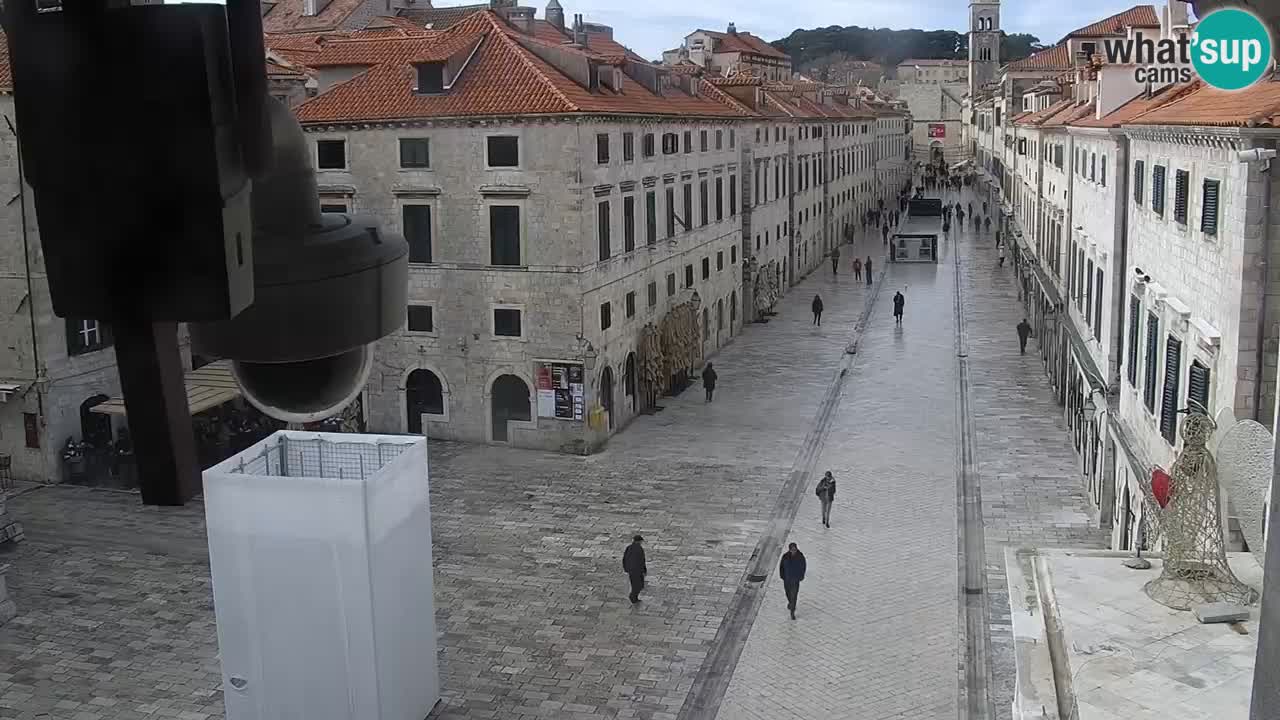 Live Webcam Dubrovnik Stradun