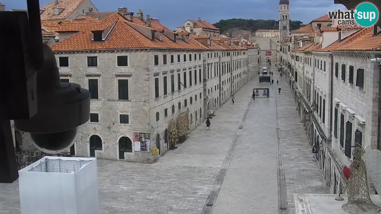 Live Webcam Dubrovnik Stradun