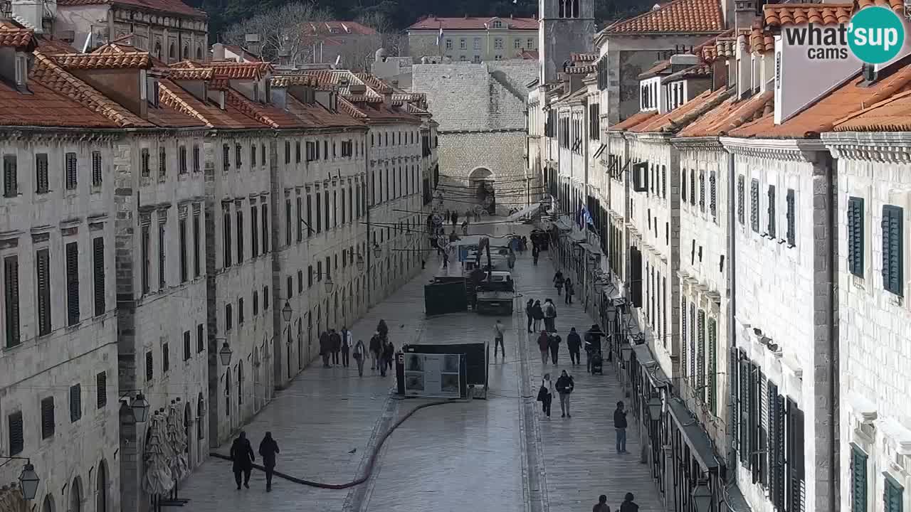 Live Webcam Dubrovnik Stradun