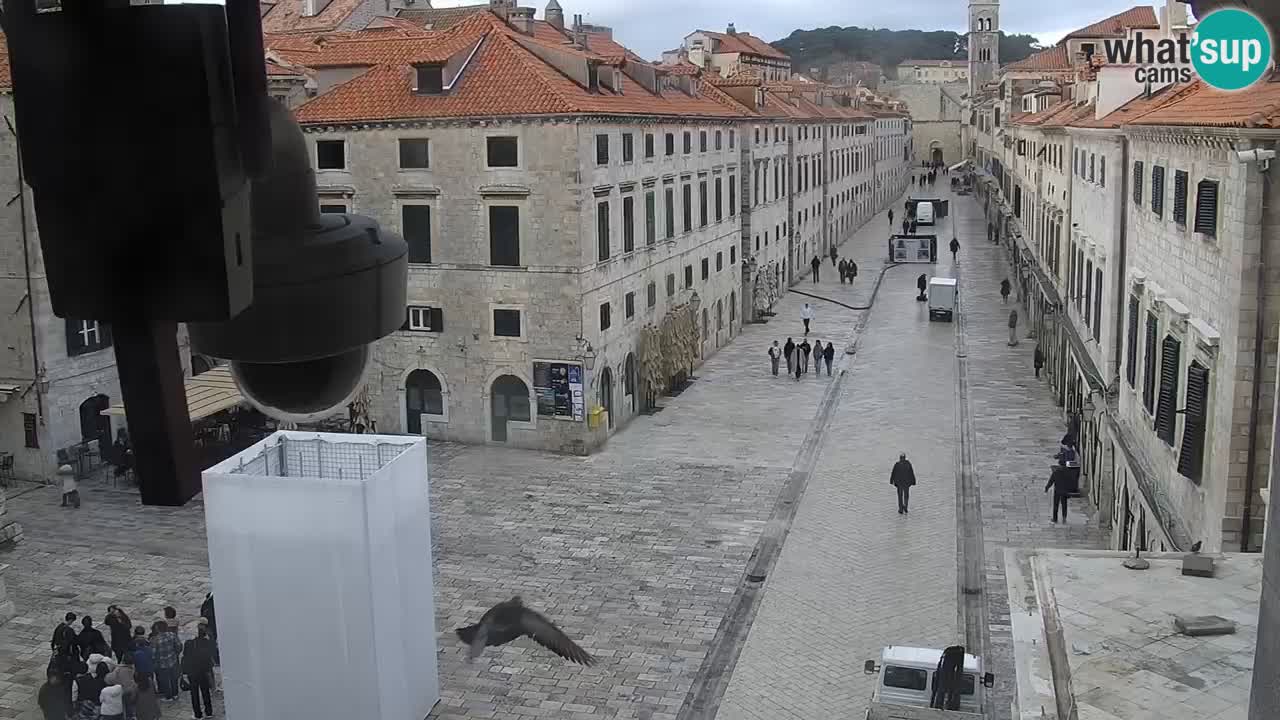 Kamera v živo Dubrovnik Stradun / Placa