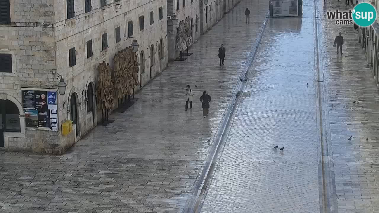 Live Webcam Dubrovnik Stradun