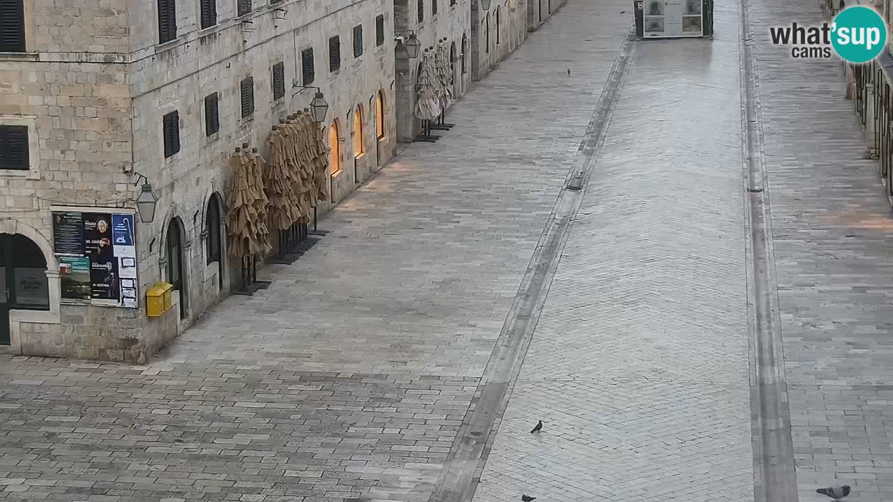 Livecam Dubrovnik Stradun