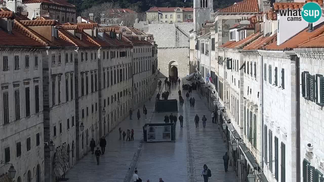 Livecam Dubrovnik Stradun