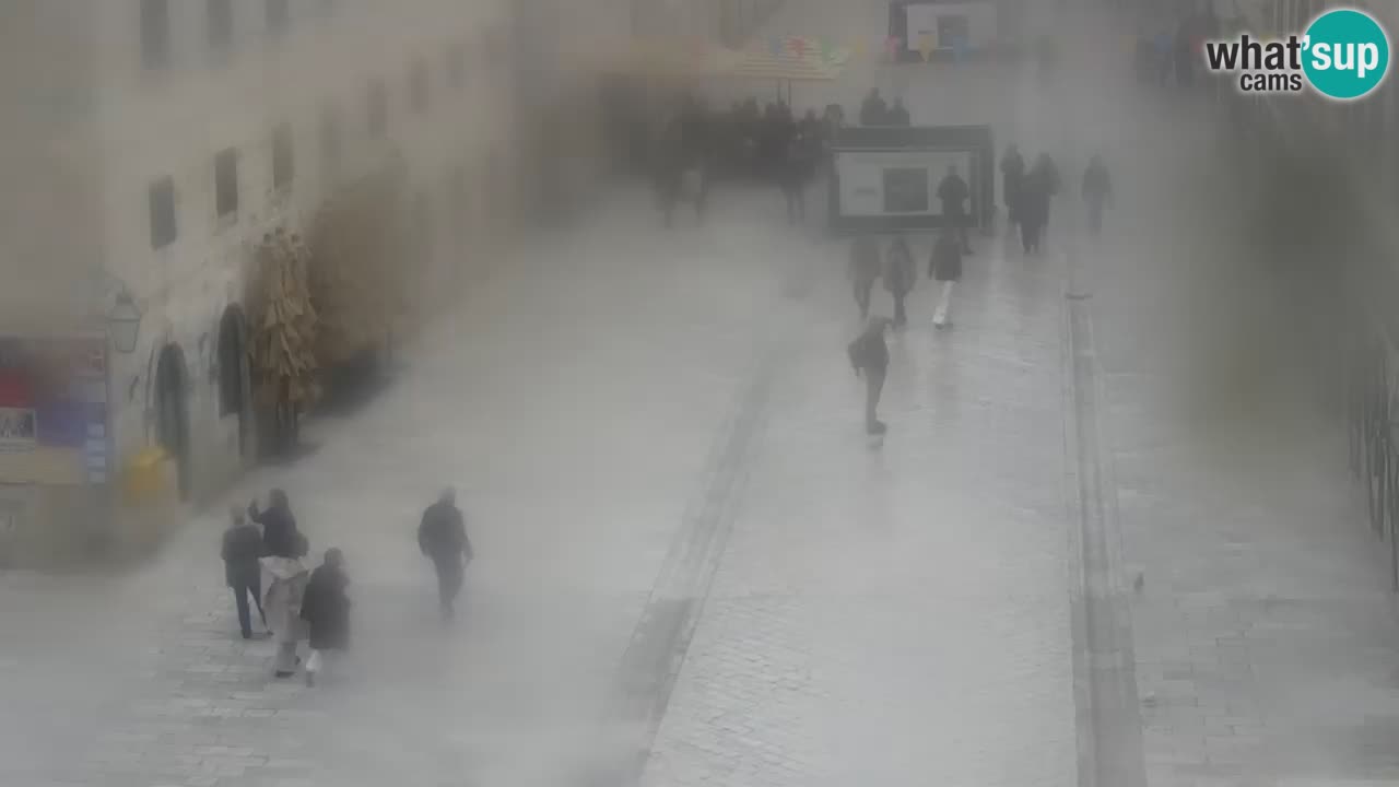 Live Webcam Dubrovnik Stradun