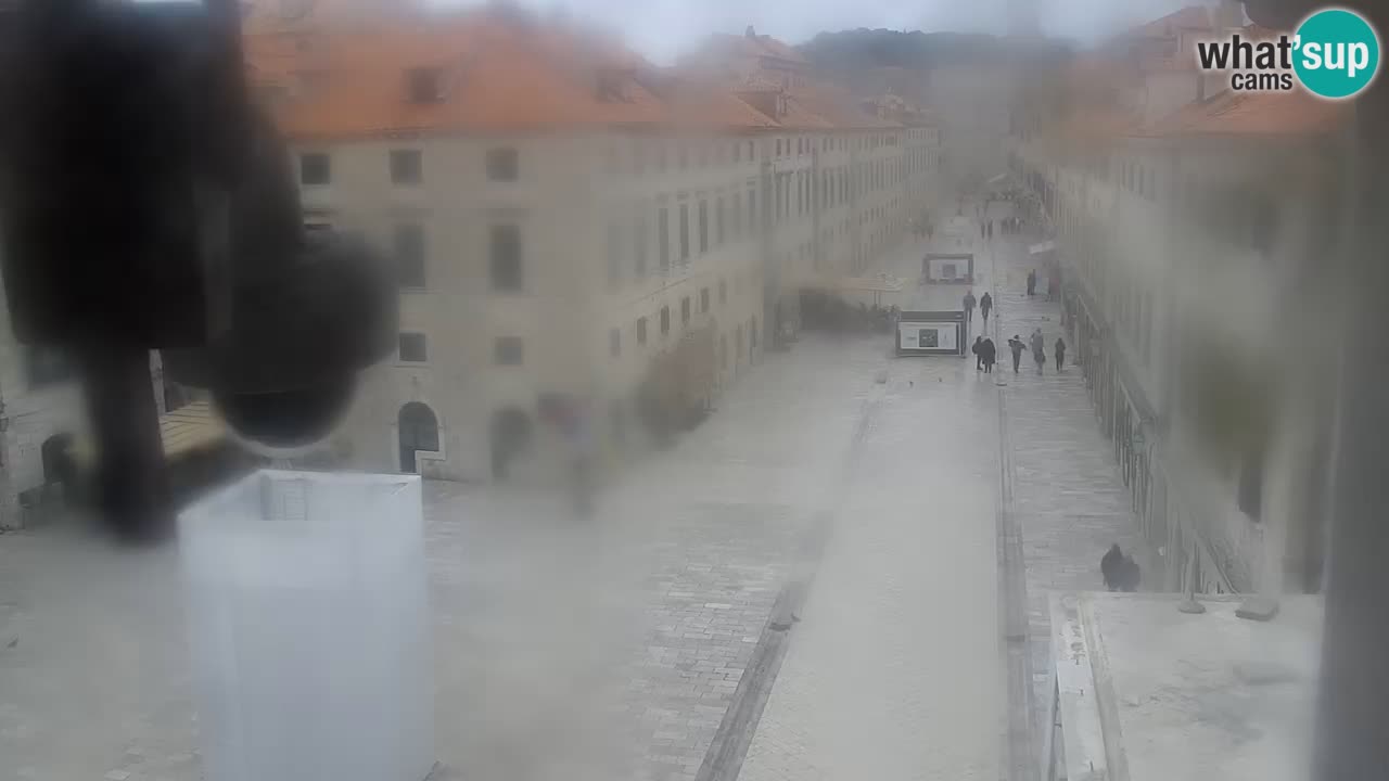 Live Webcam Dubrovnik Stradun