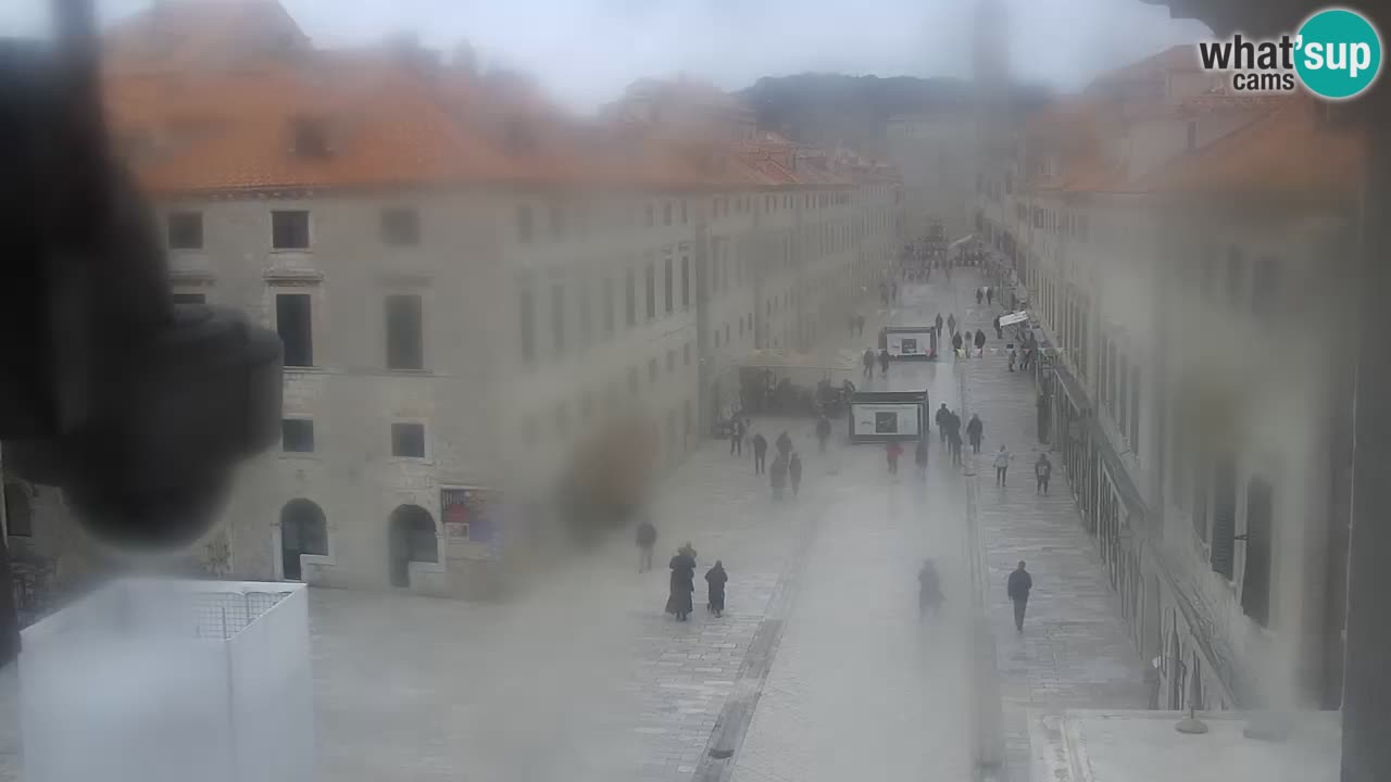 Livecam Dubrovnik Stradun