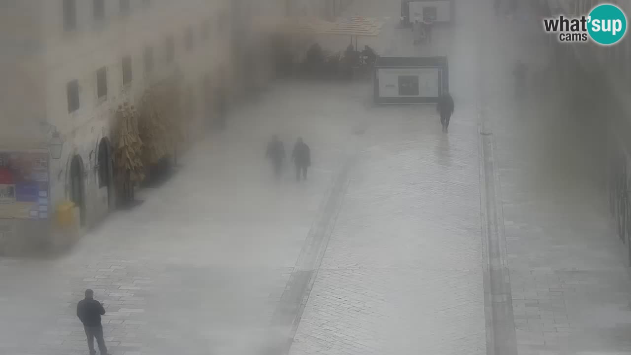 Webcam Ragusa (Dubrovnik) Stradun