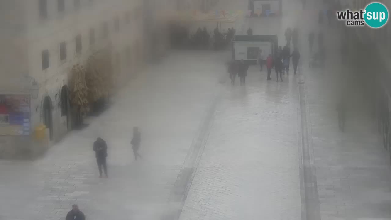 Webcam Ragusa (Dubrovnik) Stradun