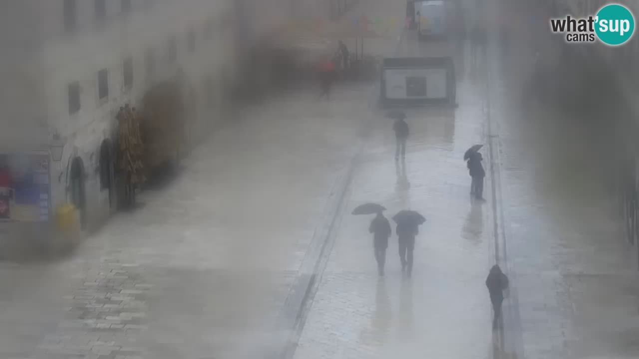 Livecam Dubrovnik Stradun