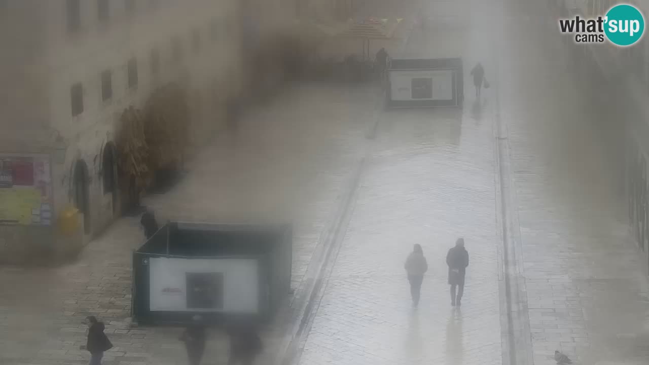 Live Webcam Dubrovnik Stradun