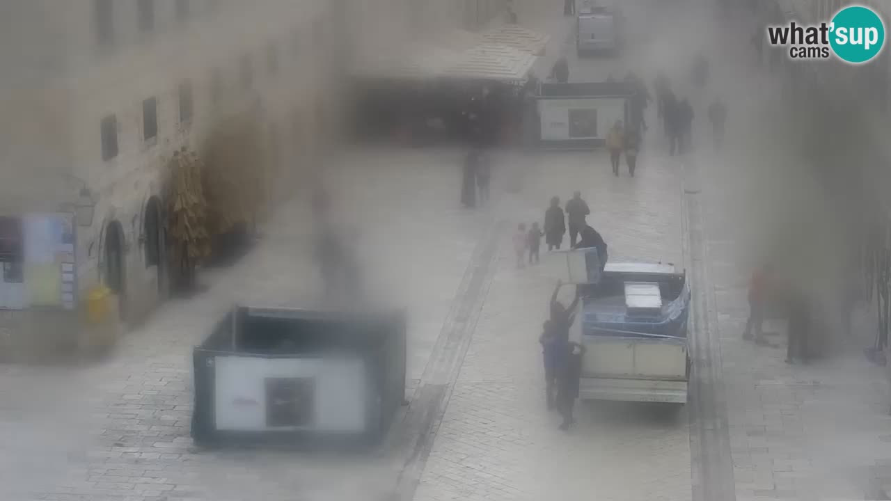 Livecam Dubrovnik Stradun