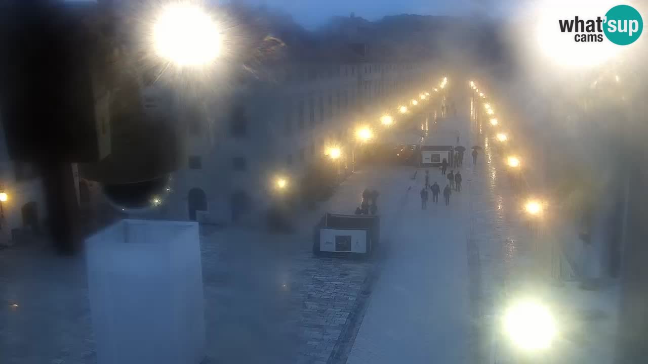 Livecam Dubrovnik Stradun