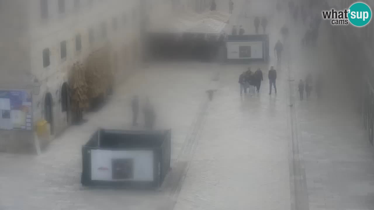 Live Webcam Dubrovnik Stradun