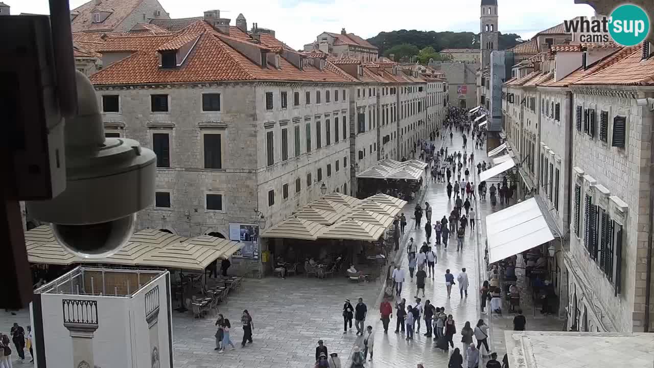 Camera en vivo Dubrovnik Stradun