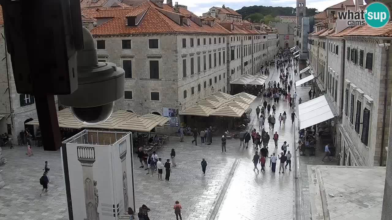 Webcam Ragusa (Dubrovnik) Stradun