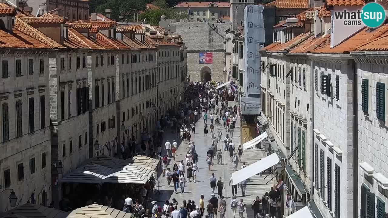 Live Webcam Dubrovnik Stradun