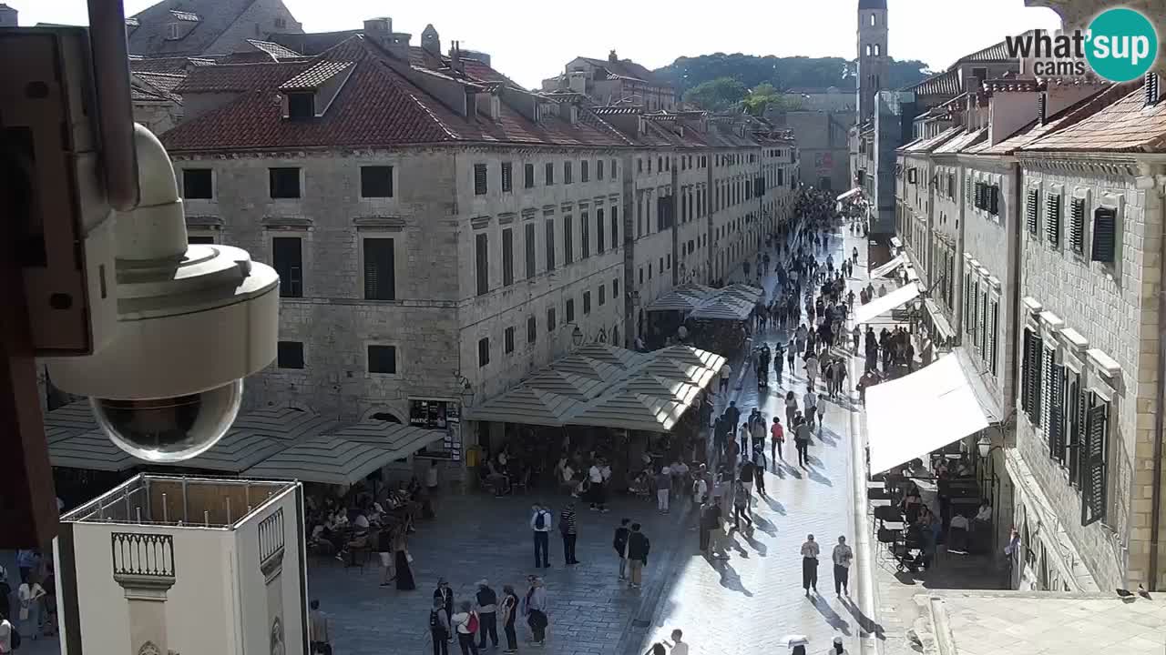 Webcam Ragusa (Dubrovnik) Stradun