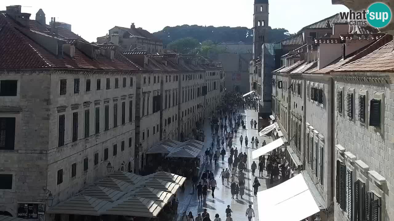 Webcam Ragusa (Dubrovnik) Stradun