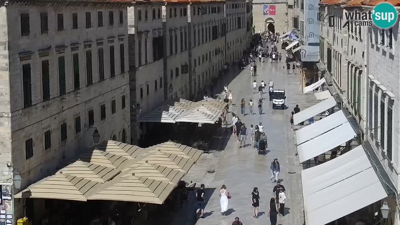 Camera en vivo Dubrovnik Stradun