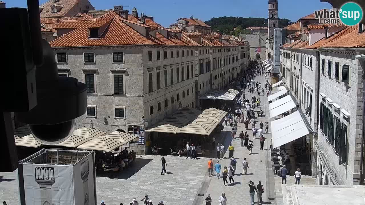 Live Webcam Dubrovnik Stradun