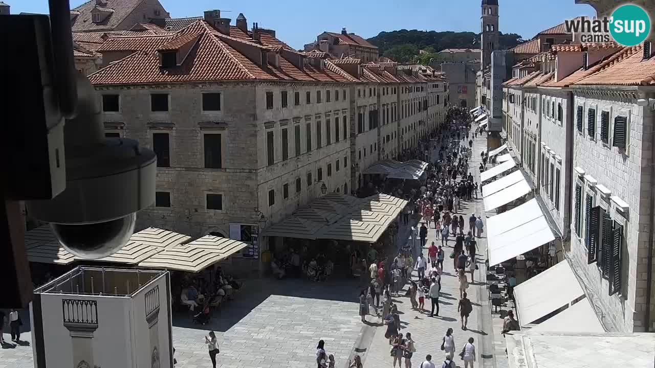 Live Webcam Dubrovnik Stradun