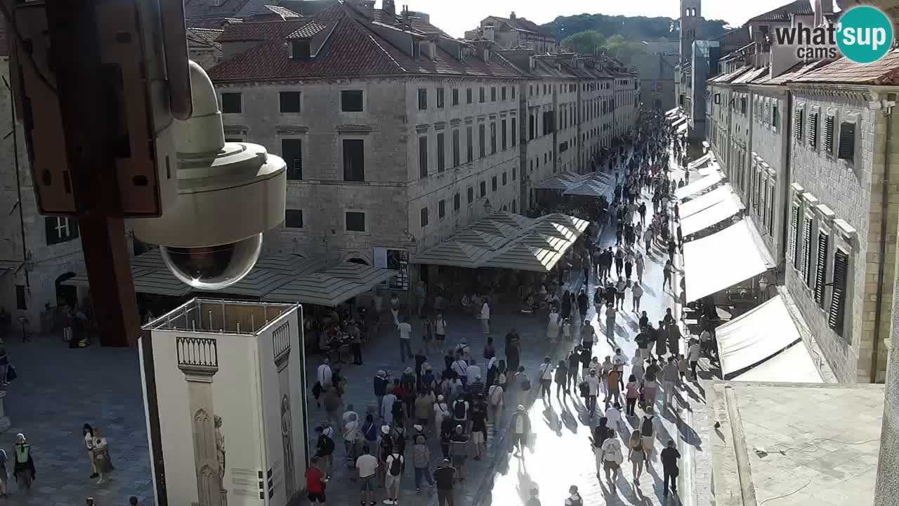 Live Webcam Dubrovnik Stradun