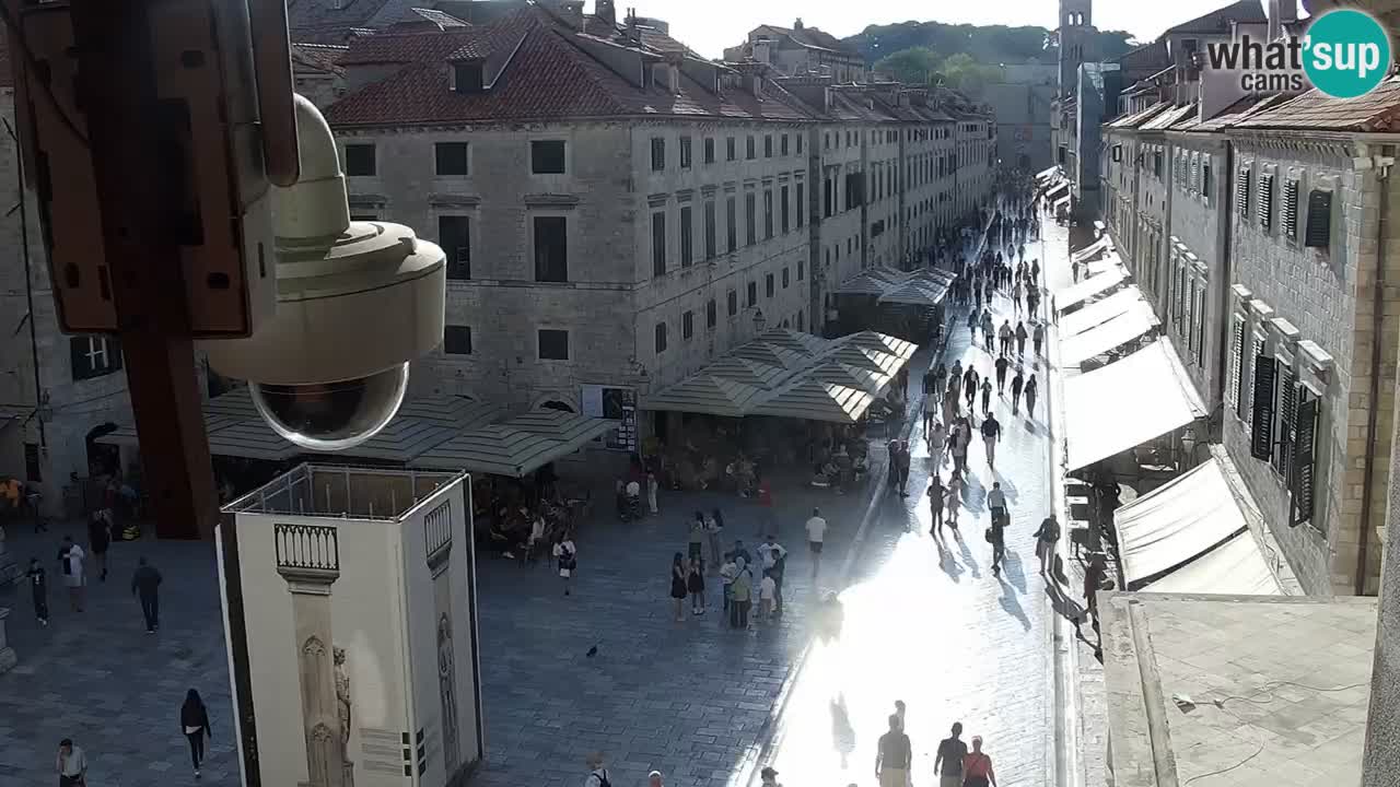 Live Webcam Dubrovnik Stradun
