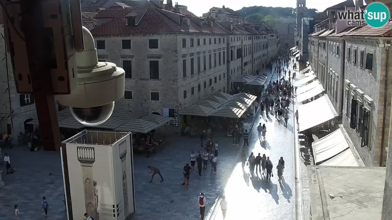 Livecam Dubrovnik Stradun