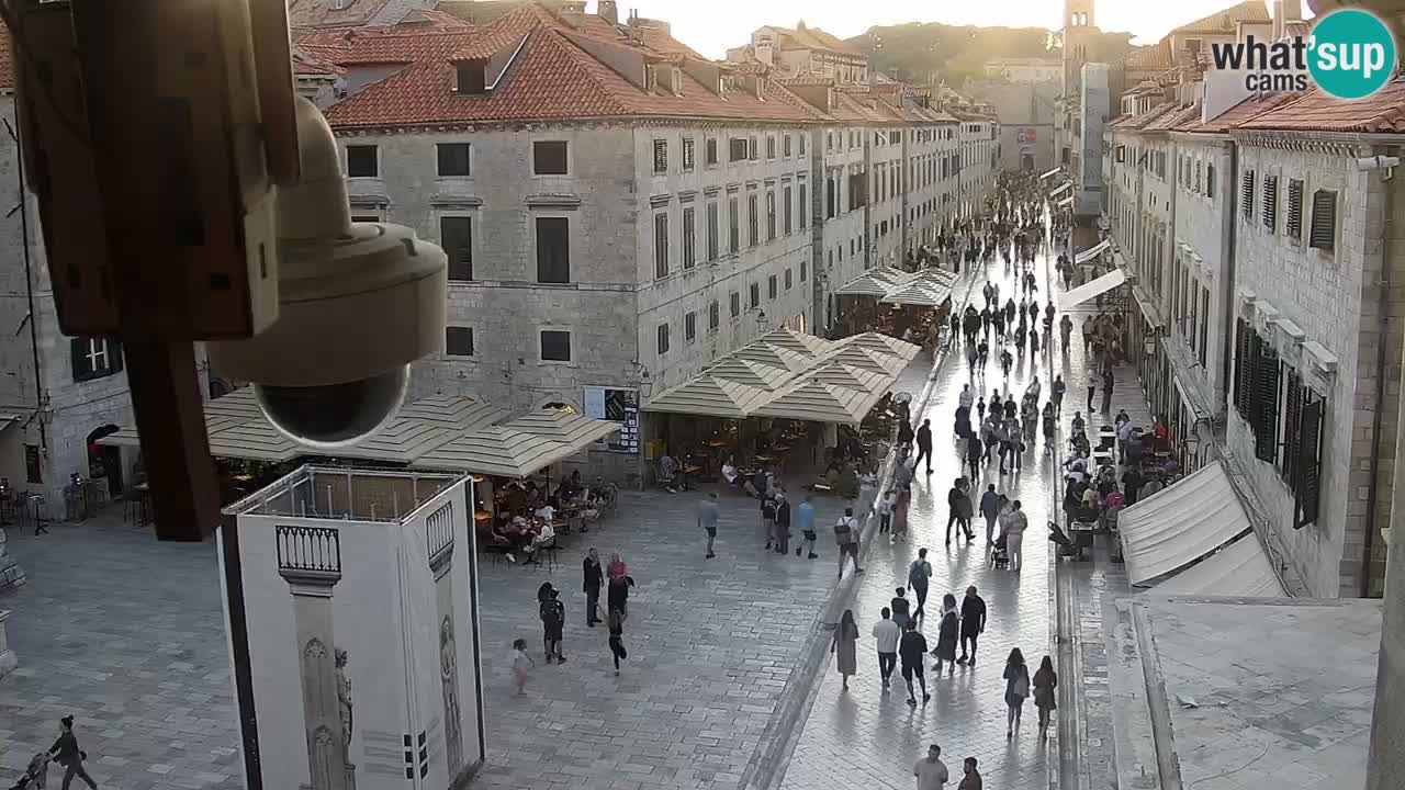 Live Webcam Dubrovnik Stradun