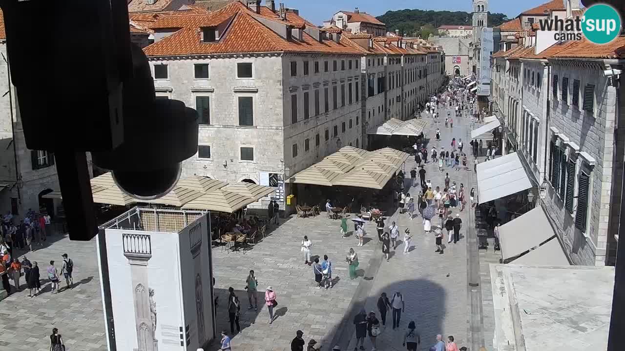 Webcam Ragusa (Dubrovnik) Stradun