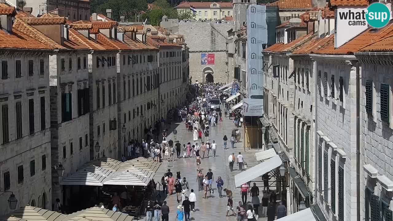 Live Webcam Dubrovnik Stradun