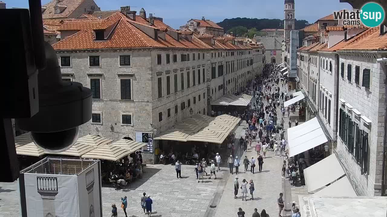 Camera en vivo Dubrovnik Stradun