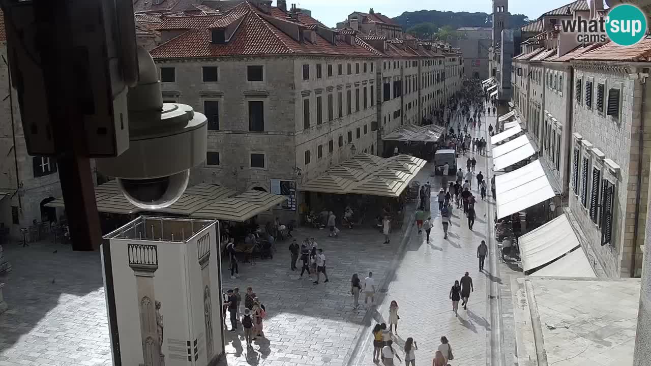 Livecam Dubrovnik Stradun
