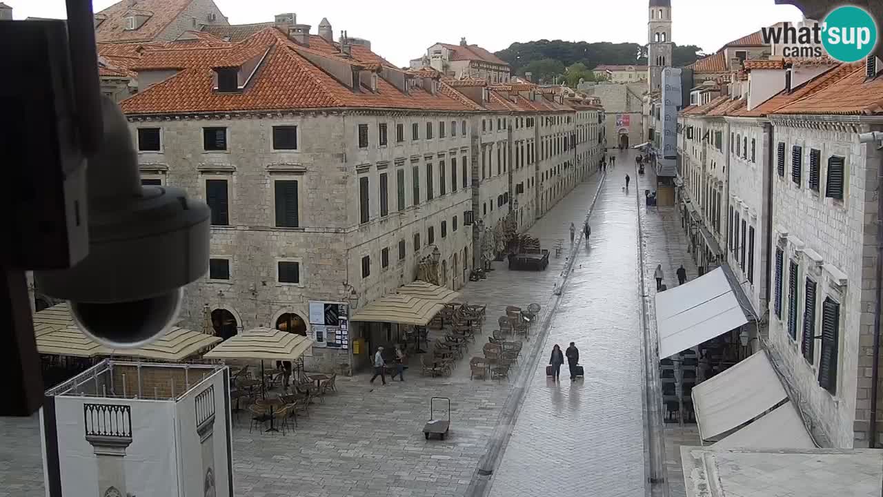 Livecam Dubrovnik Stradun