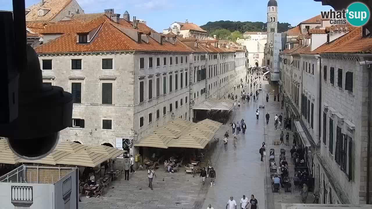 Livecam Dubrovnik Stradun