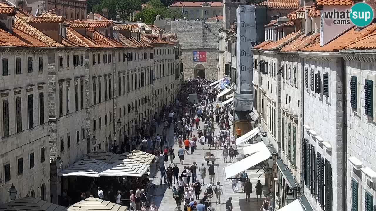 Camera en vivo Dubrovnik Stradun