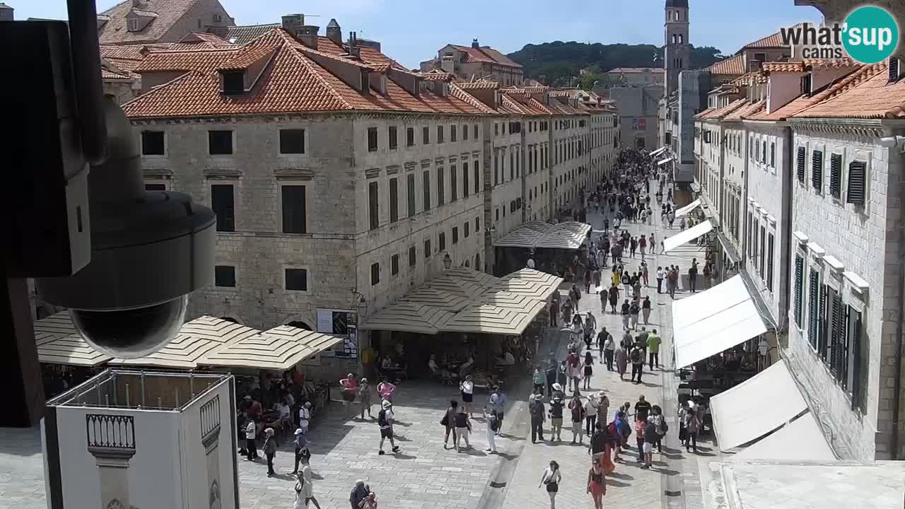 Livecam Dubrovnik Stradun