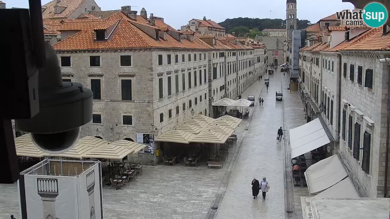 Livecam Dubrovnik Stradun