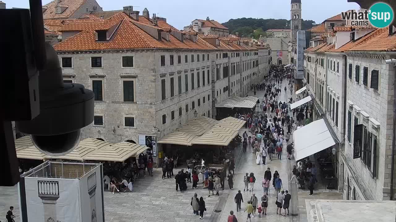 Livecam Dubrovnik Stradun