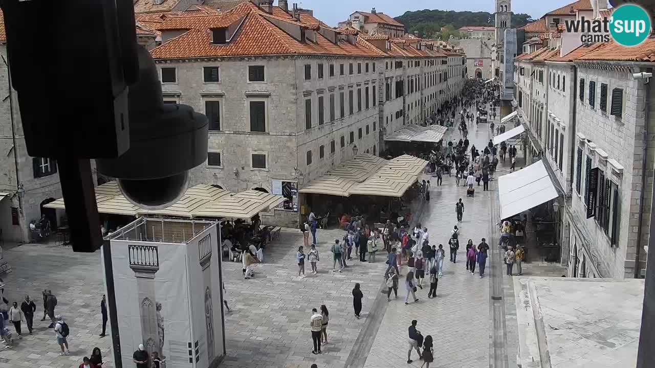 Livecam Dubrovnik Stradun