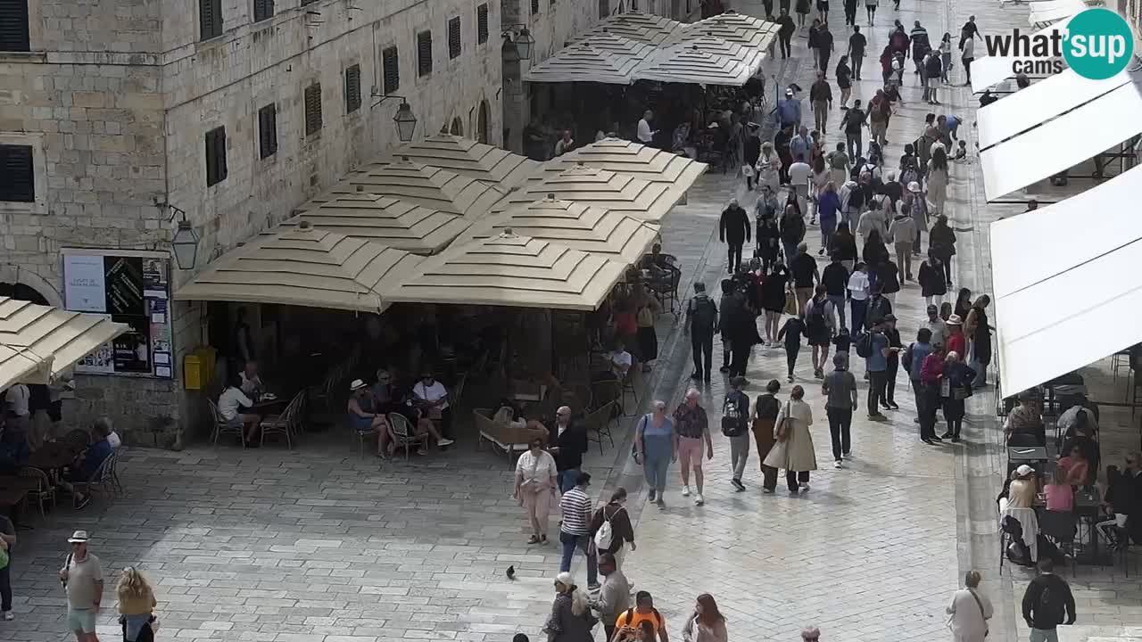 Livecam Dubrovnik Stradun
