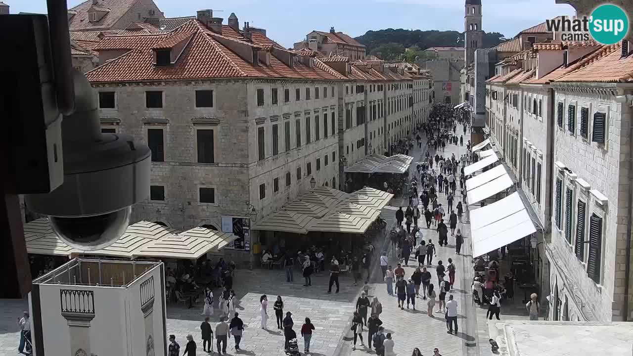 Livecam Dubrovnik Stradun