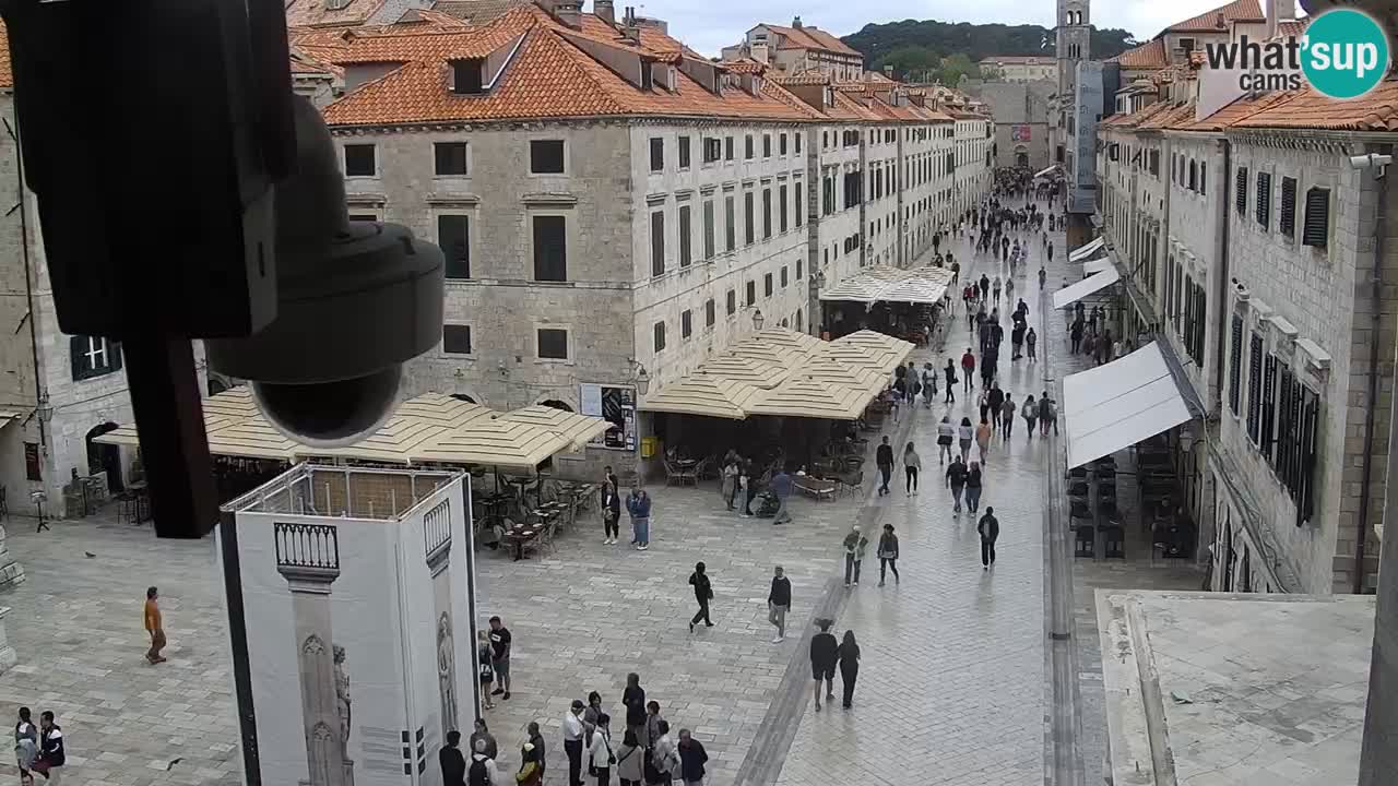 Camera en vivo Dubrovnik Stradun