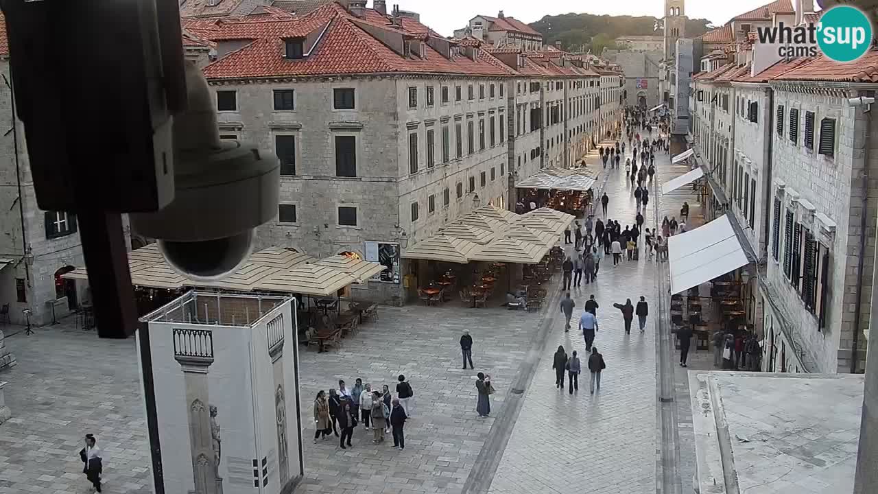 Camera en vivo Dubrovnik Stradun