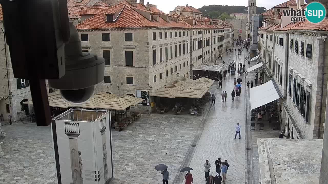 Live Webcam Dubrovnik Stradun