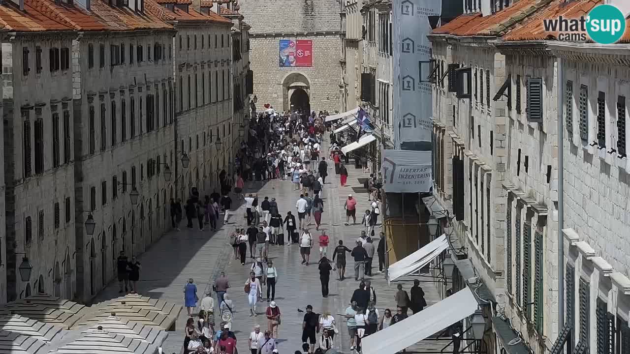 Camera en vivo Dubrovnik Stradun