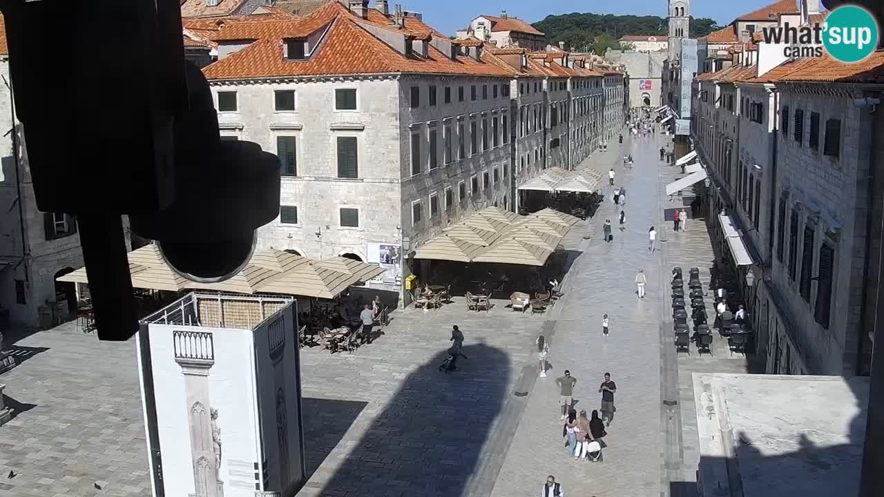 Live Webcam Dubrovnik Stradun